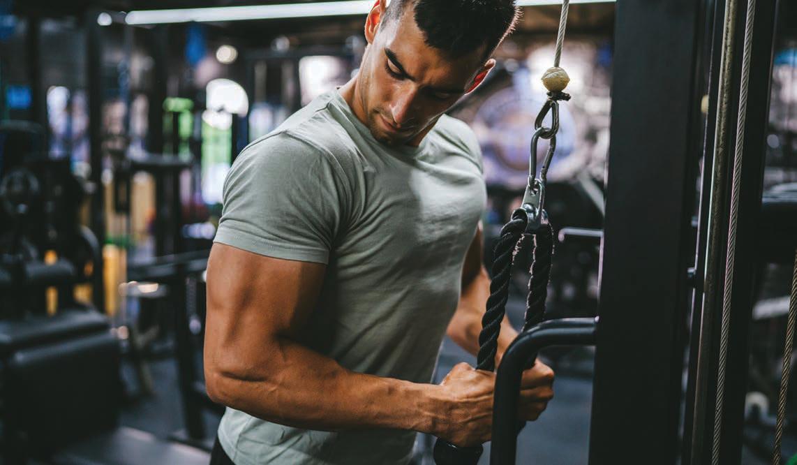 BUILDING MUSCLE